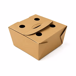 אריזת קרטון לציפס